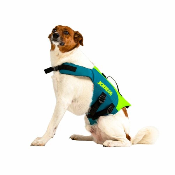 Jobe Gilet de Sauvetage Pour Chiens Sarcelle Citron Vert – Image 2