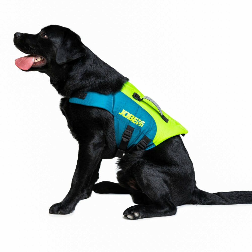 Jobe Gilet de Sauvetage Pour Chiens Sarcelle Citron Vert – Image 4