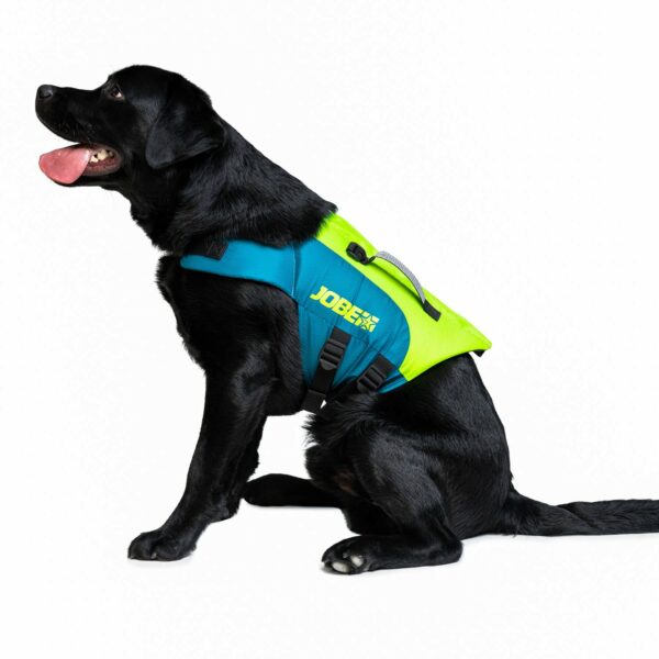 Jobe Gilet de Sauvetage Pour Chiens Sarcelle Citron Vert – Image 4