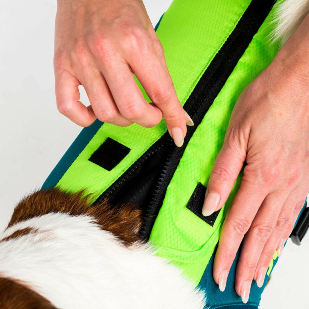 Jobe Gilet de Sauvetage Pour Chiens Sarcelle Citron Vert – Image 6