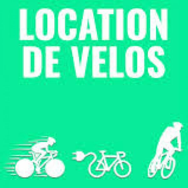 Location 1/2 journée