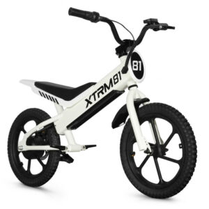 Draisienne électrique pour enfant 36V 350W DX 16