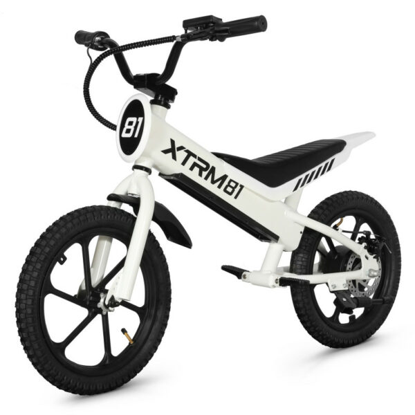 Draisienne électrique pour enfant 36V 350W DX 16 – Image 3