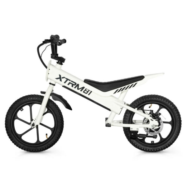 Draisienne électrique pour enfant 36V 350W DX 16 – Image 5