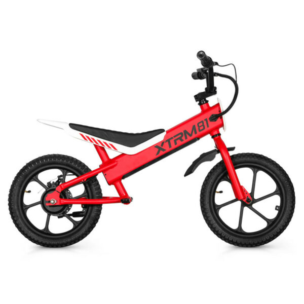 Draisienne électrique pour enfant 36V 350W DX 16 – Image 7