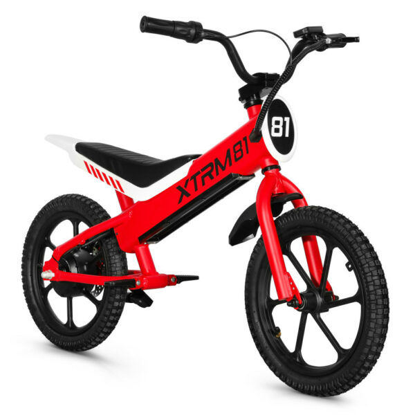 Draisienne électrique pour enfant 36V 350W DX 16 – Image 6