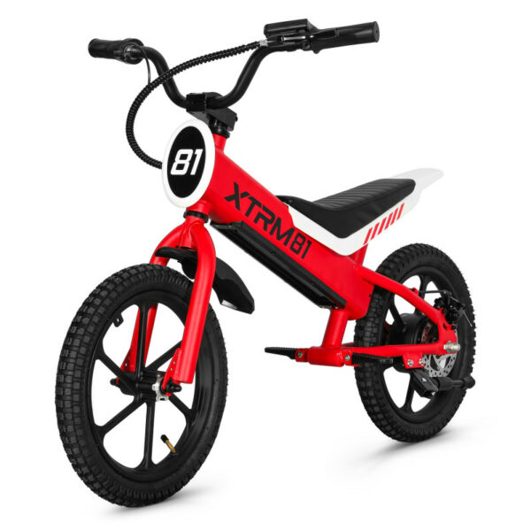 Draisienne électrique pour enfant 36V 350W DX 16 – Image 8