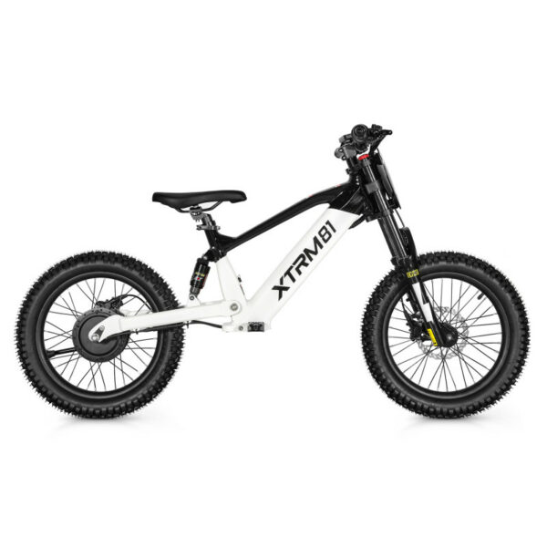 Draisienne électrique pour enfant 36V 500W DX 18 – Image 9