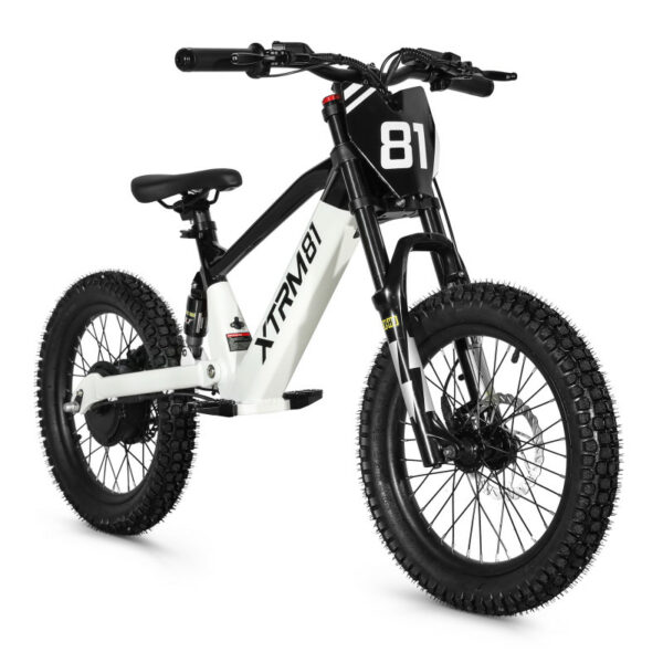 Draisienne électrique pour enfant 36V 500W DX 18 – Image 5