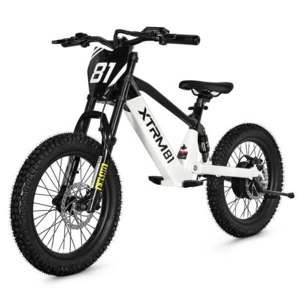 Draisienne électrique pour enfant 36V 500W DX 18 – Image 3