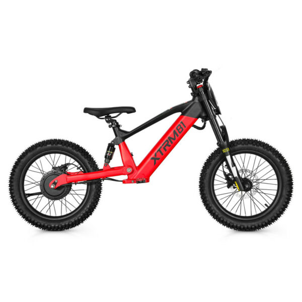 Draisienne électrique pour enfant 36V 500W DX 18 – Image 8
