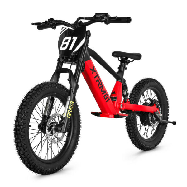 Draisienne électrique pour enfant 36V 500W DX 18 – Image 2