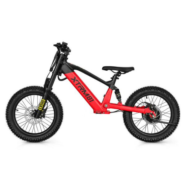 Draisienne électrique pour enfant 36V 500W DX 18 – Image 6